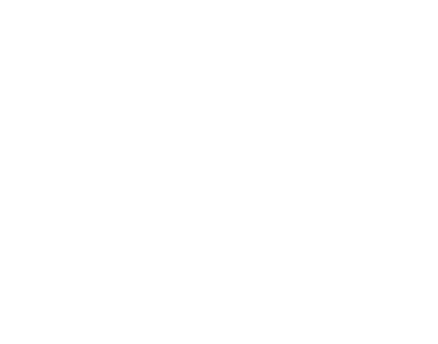 BER Dry Gin Logo weiss